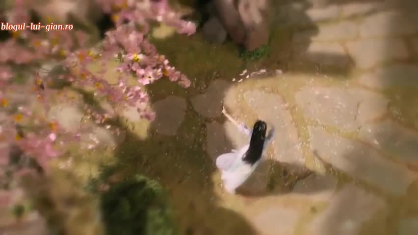 Love‘s Rebellion Episodul 15