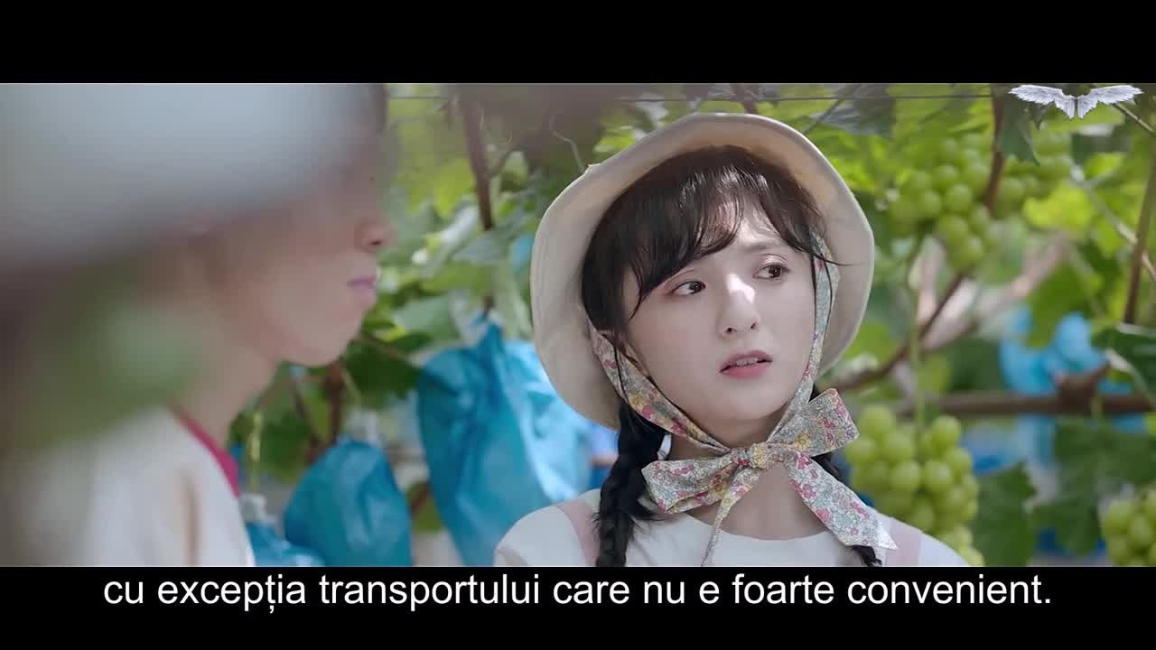 A Romance of the Little Forest Episodul 8