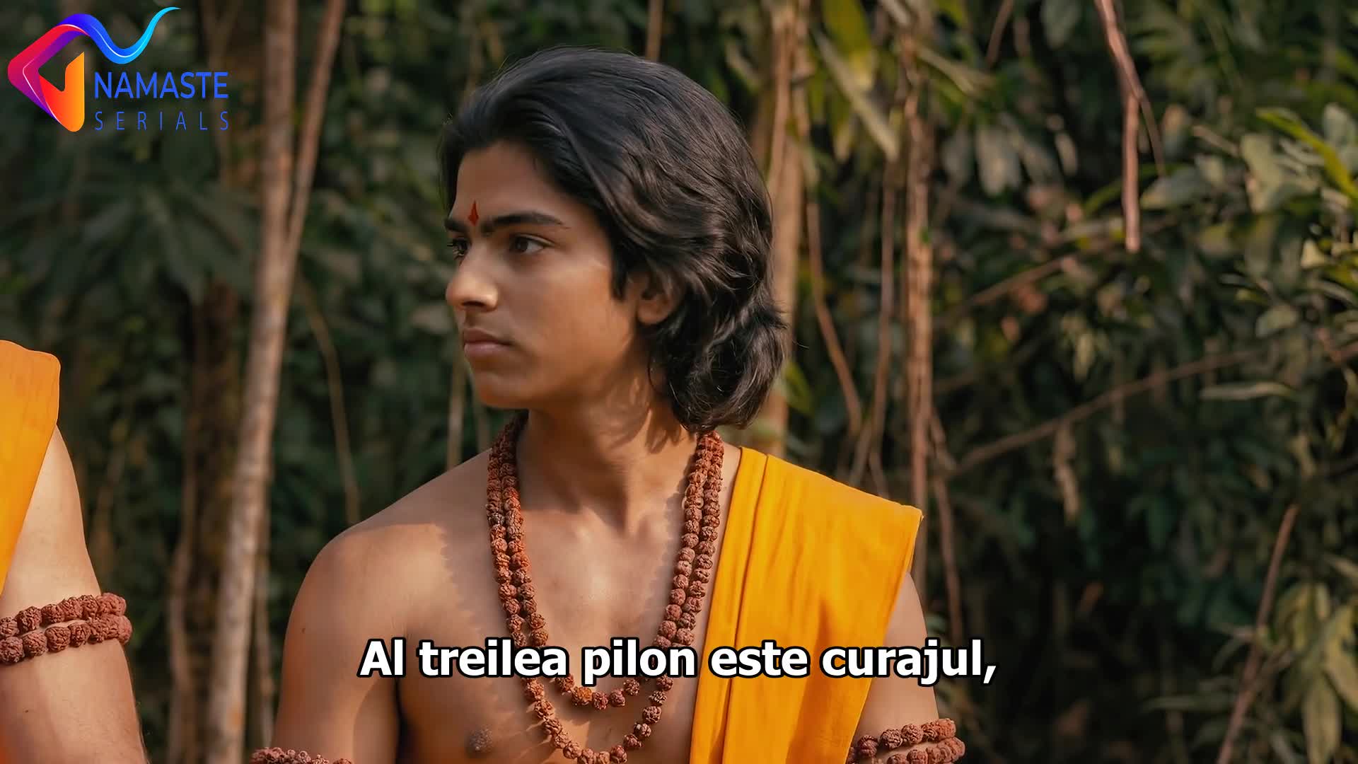 Mahabharat: Ek Dharmayudh Episodul 17 subtitrat în română