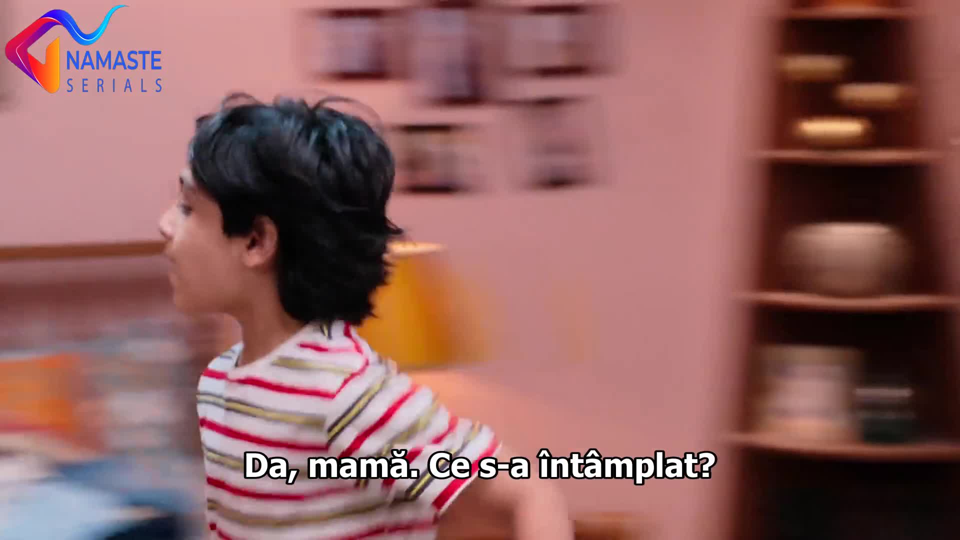 Mr. & Mrs. Parshuram Episodul 17 subtitrat în română