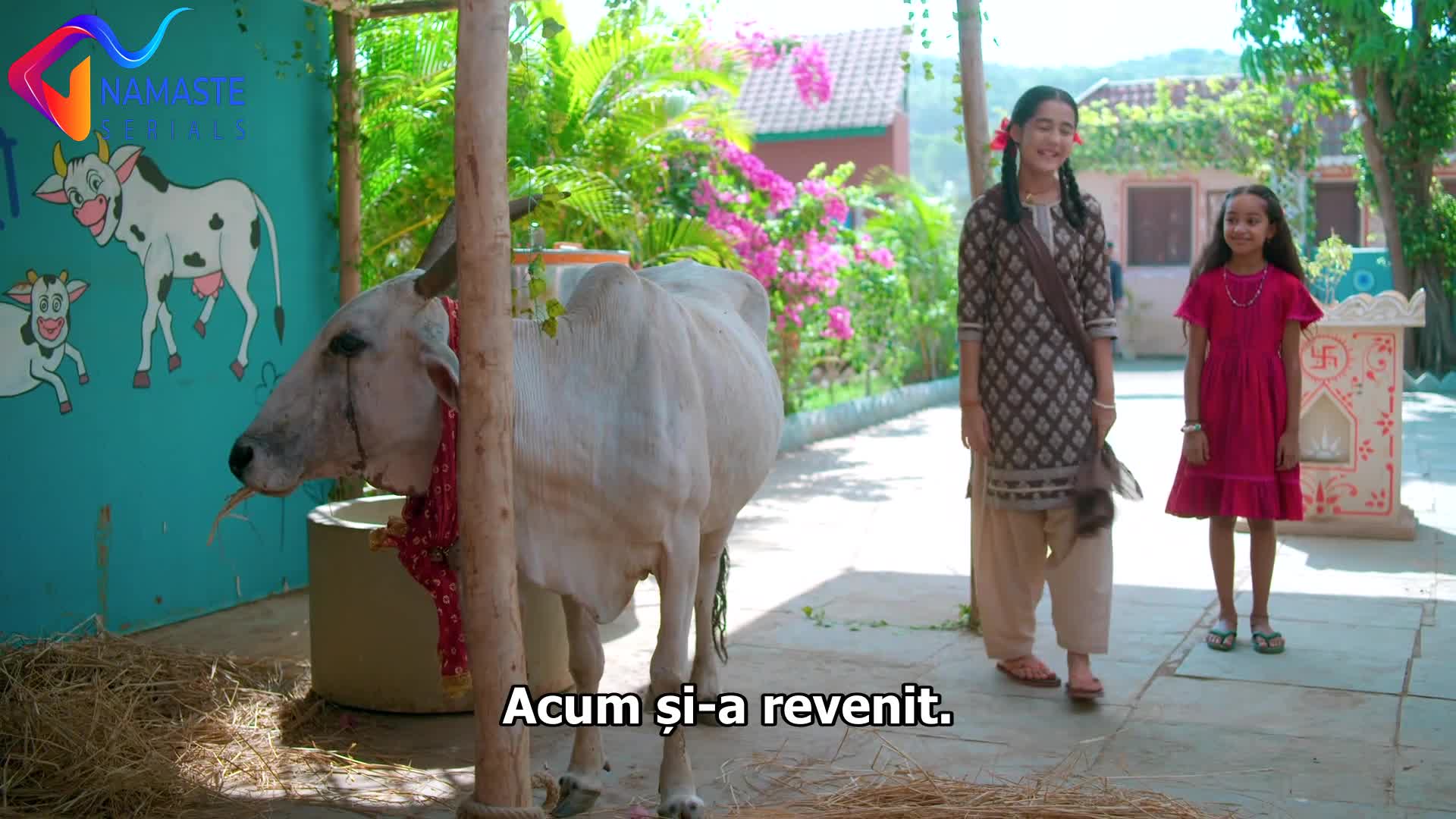 Suhaagan - Destin de Soție Episodul 28 subtitrat în română