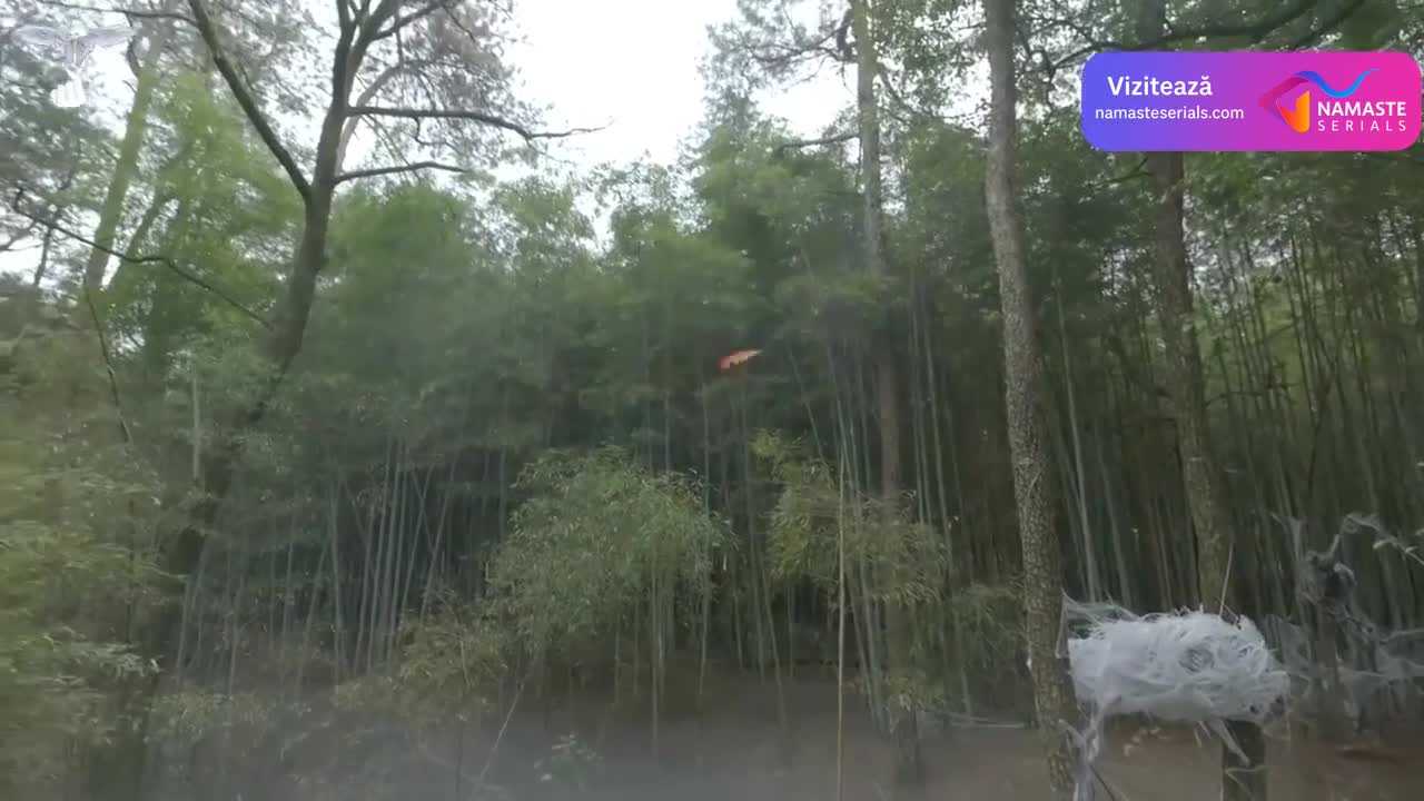 Sword and Fairy 1 - Paladin Legend Episodul 29