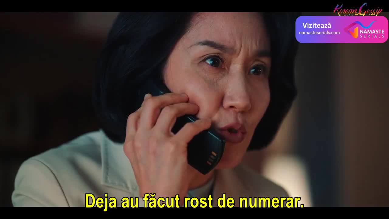 Undercover Miss Hong Episodul 13