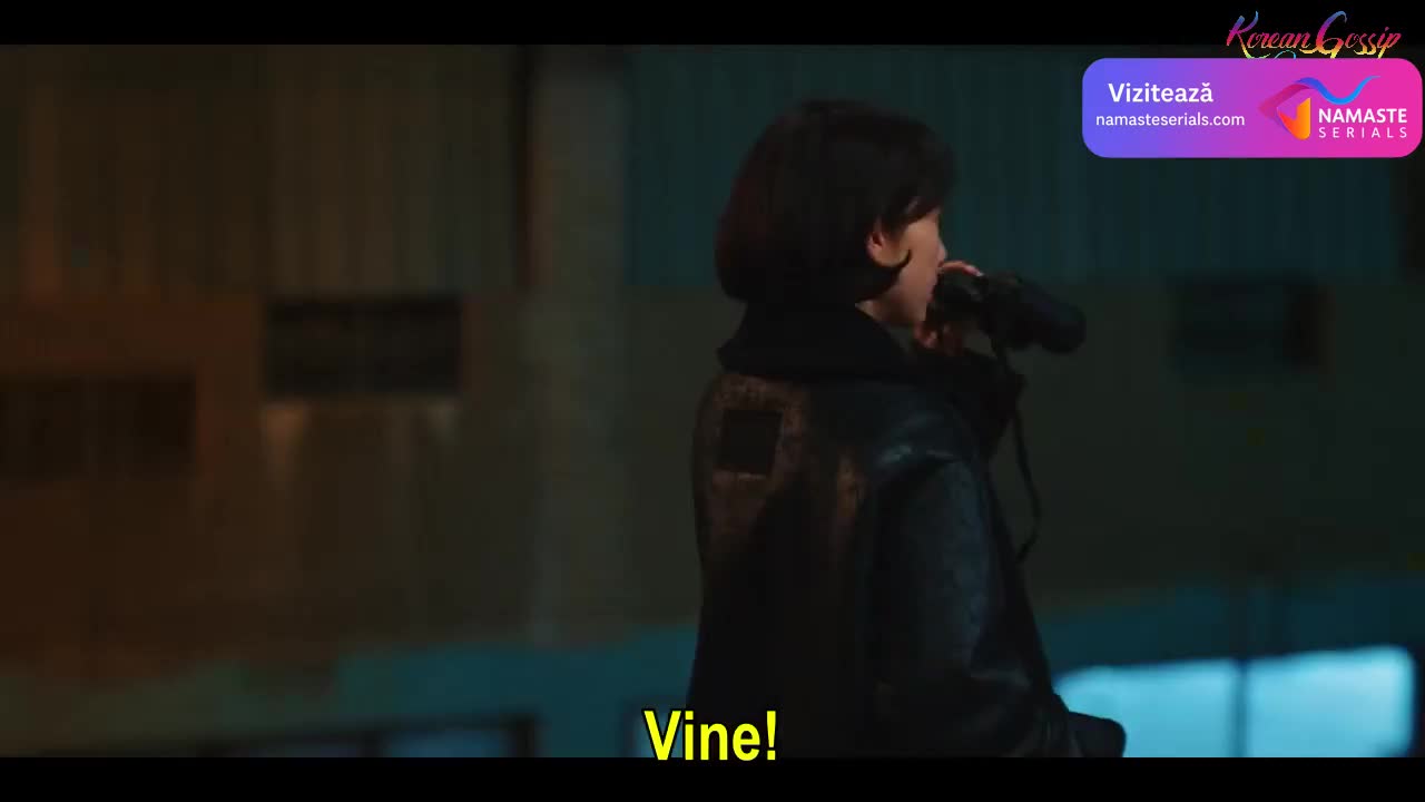Undercover Miss Hong Episodul 12