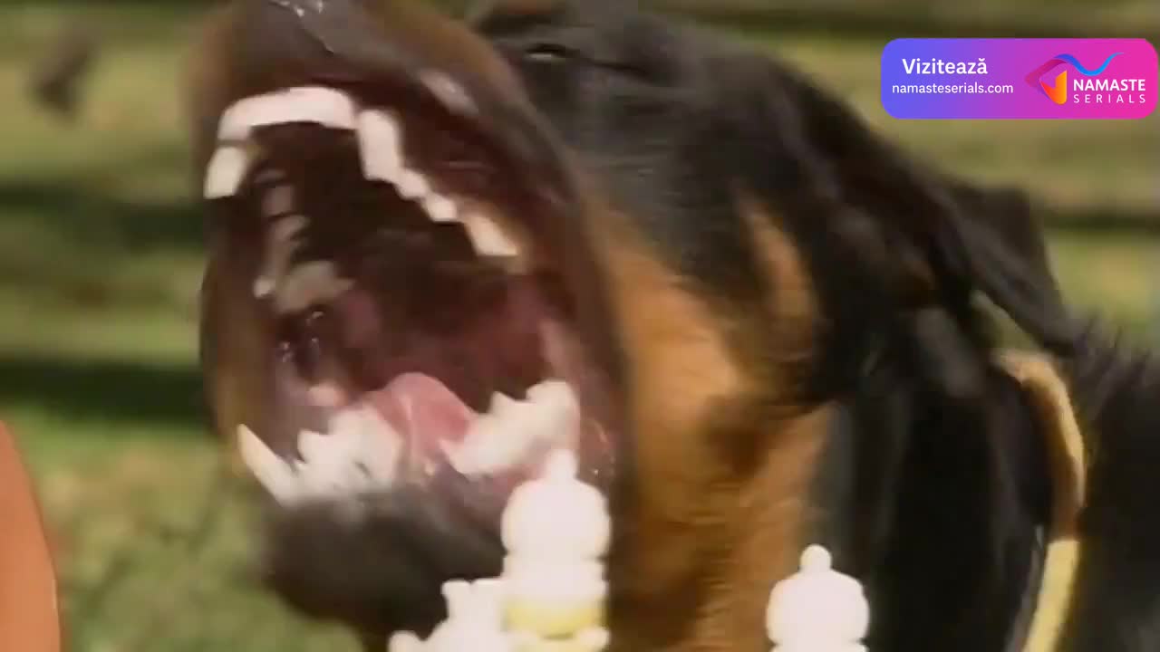 La usurpadora: Uzurpatoarea Episodul 14