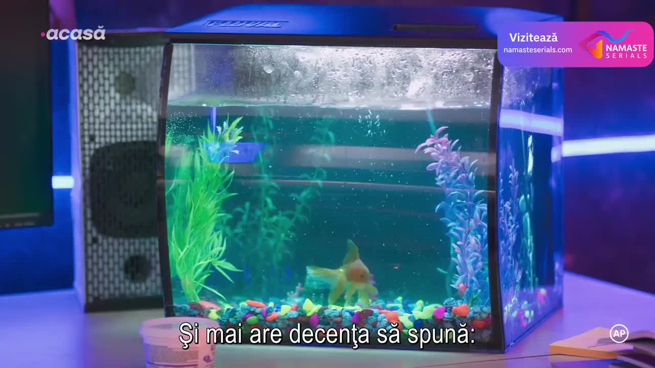 Si nos dejan: Aproape de iubire Episodul 21