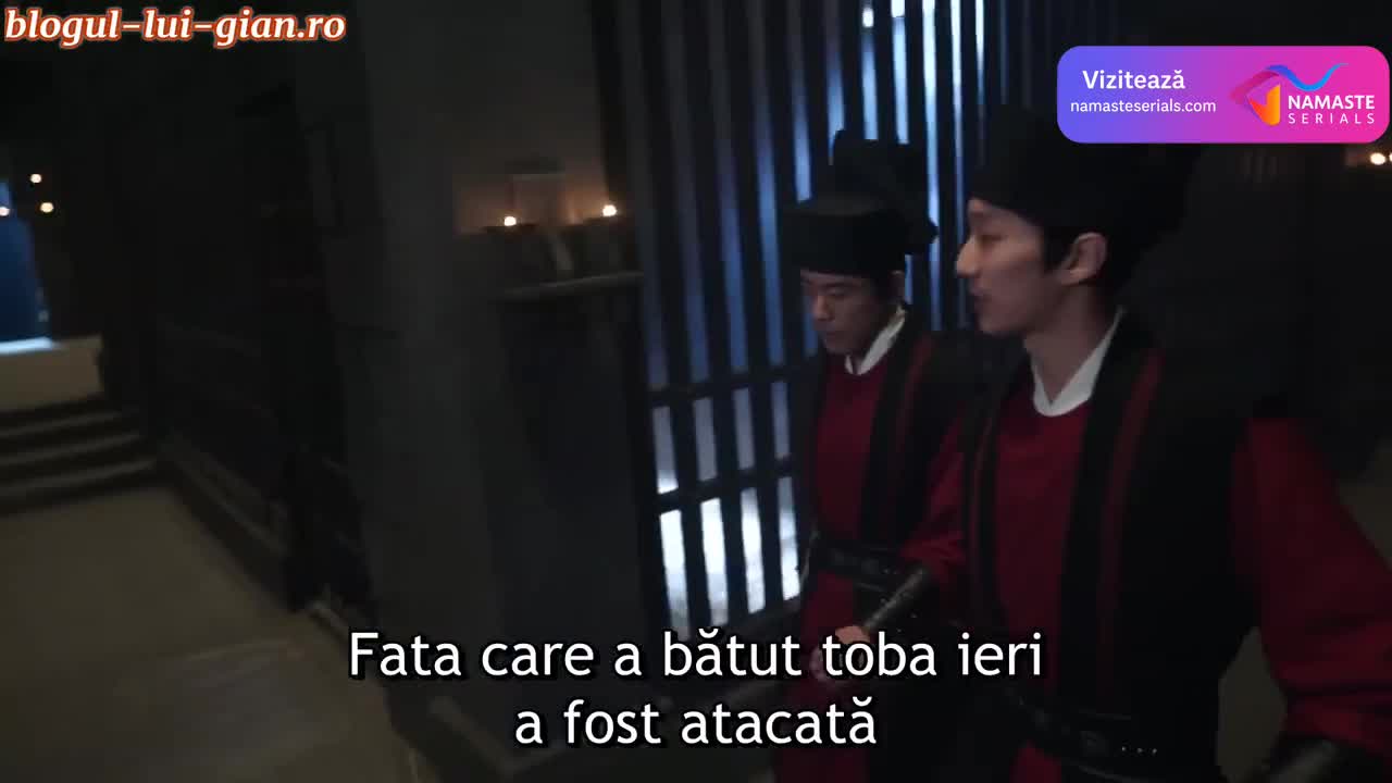 Serendipity Episodul 19