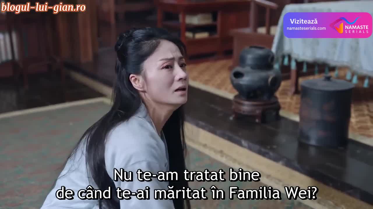 Serendipity Episodul 25