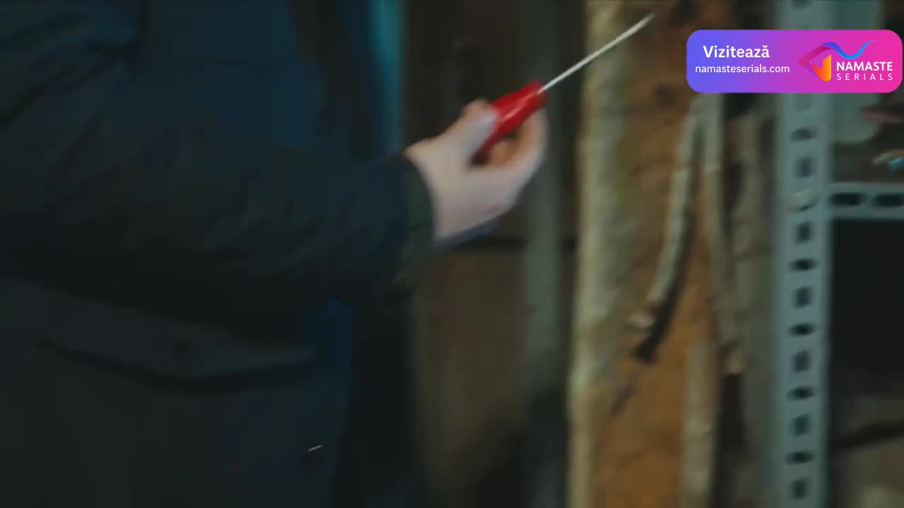 Cesur Ve Guzel - Iubire si razbunare tv Episodul 57