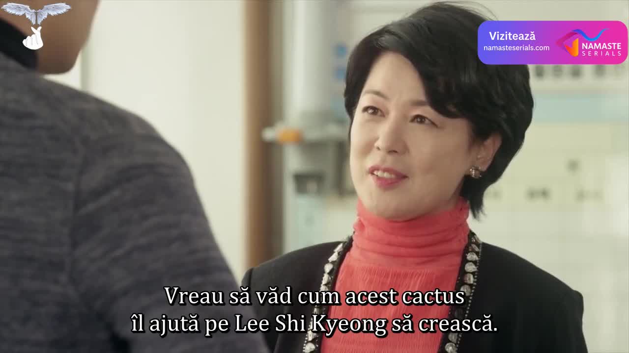 Andante Episodul 7