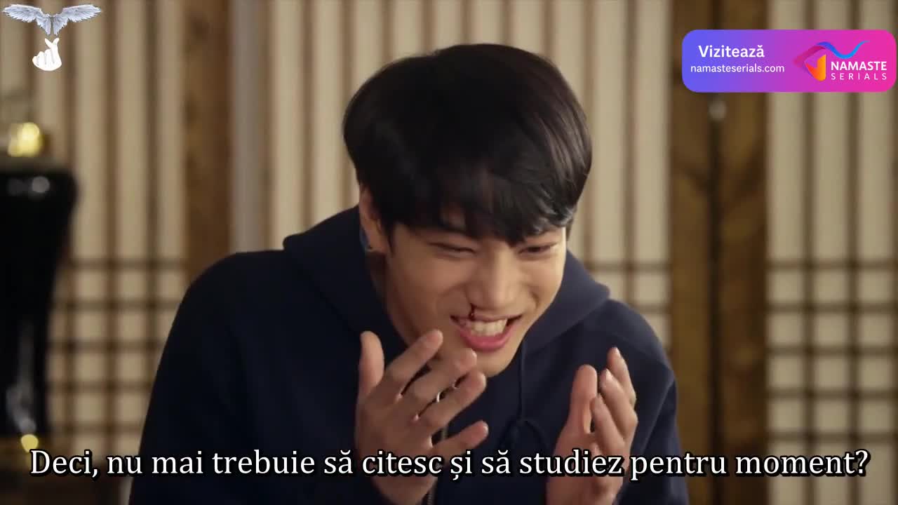 Andante Episodul 13