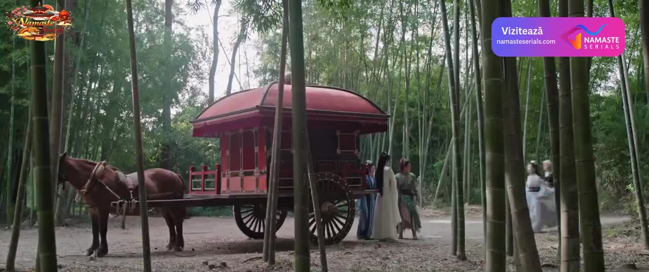 Dragon King's Decree Episodul 12
