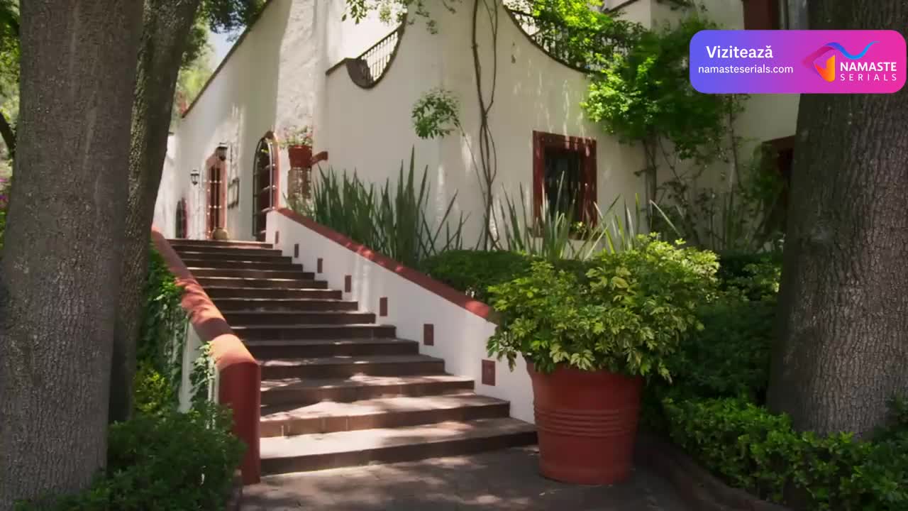 Amor Amargo : Dragoste amară Episodul 11