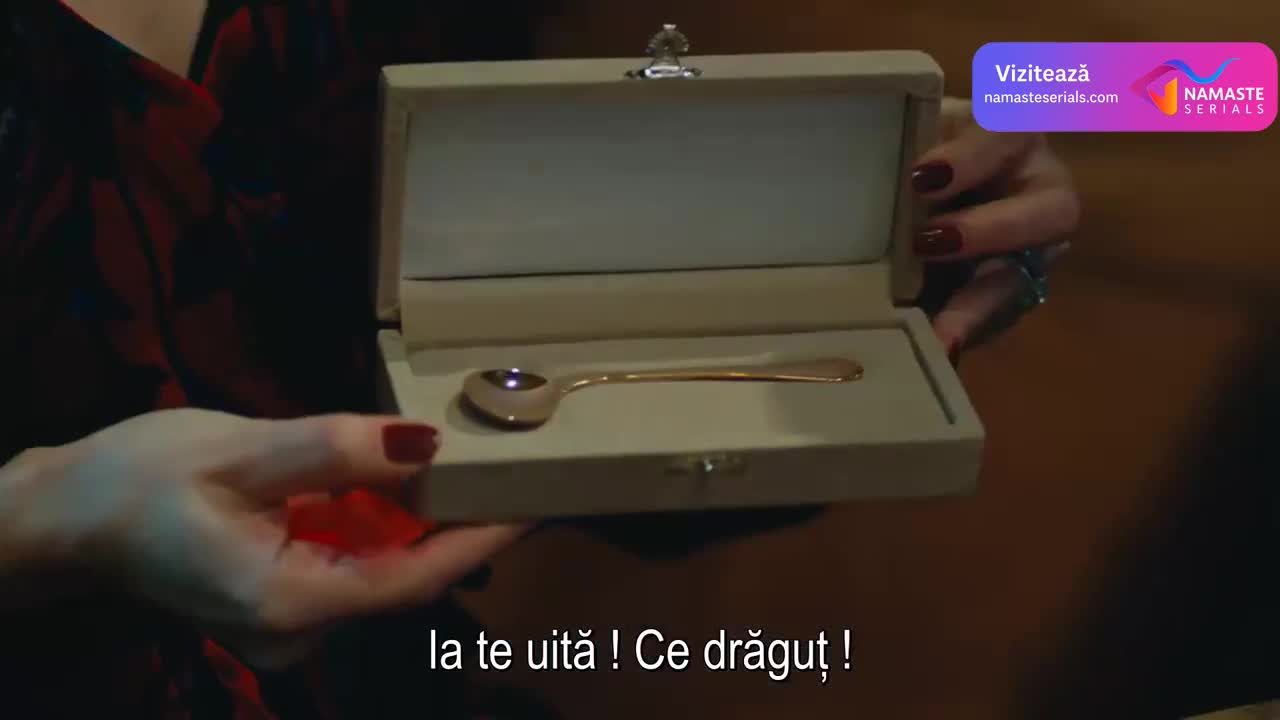 Cesur Ve Guzel - Iubire si razbunare tv Episodul 14