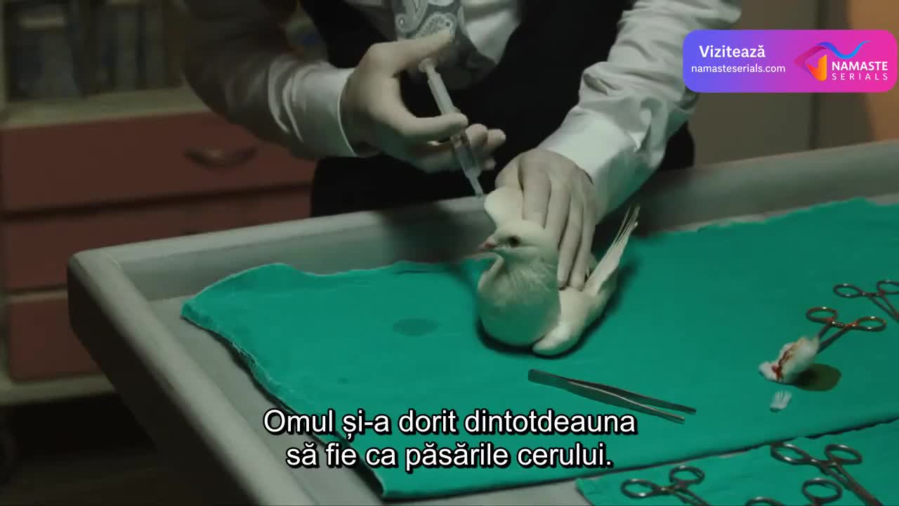 Kara Para Ask: Dragoste de contrabandă TV Episodul 46