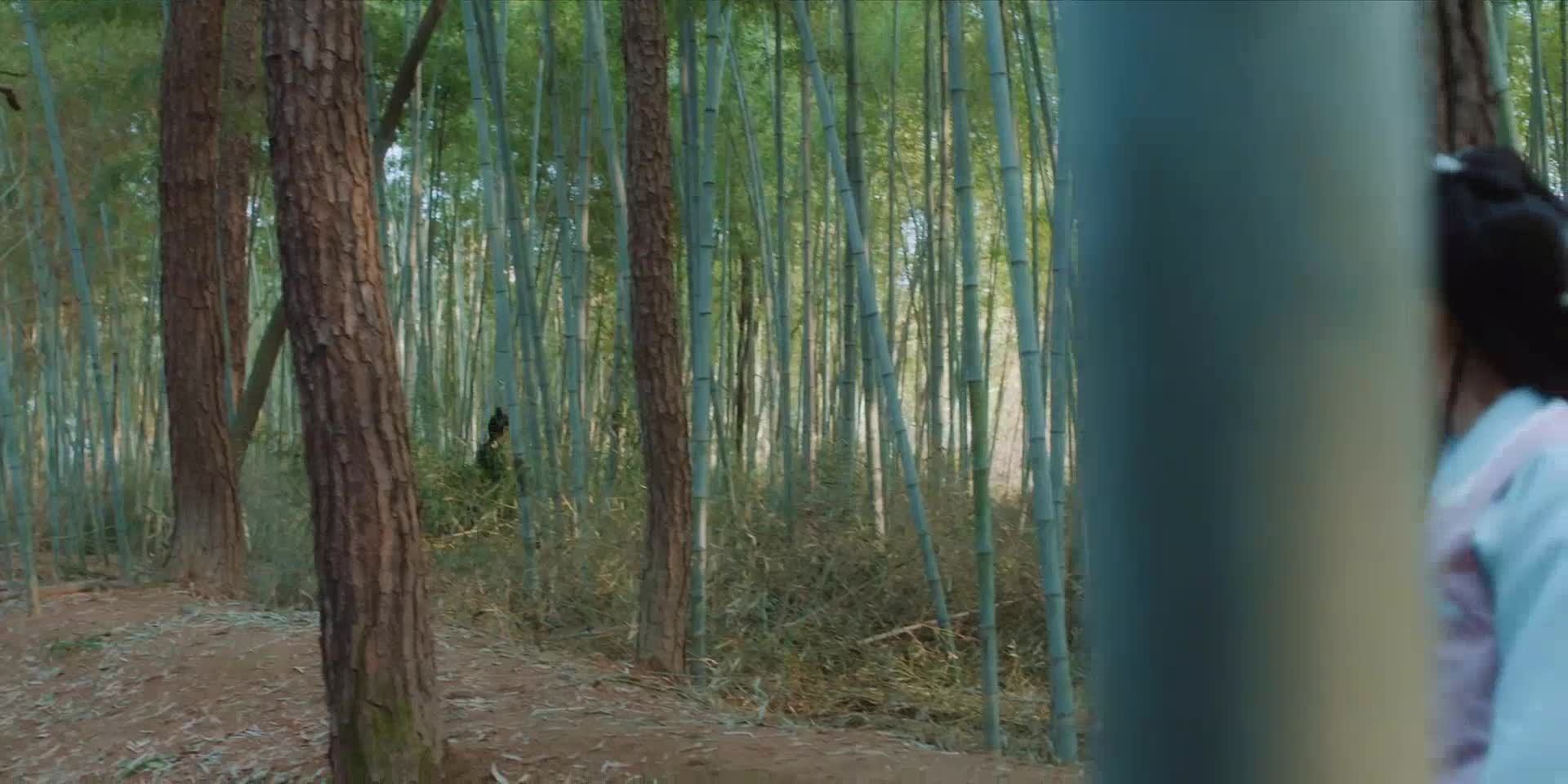 A love so romantic Episodul 13