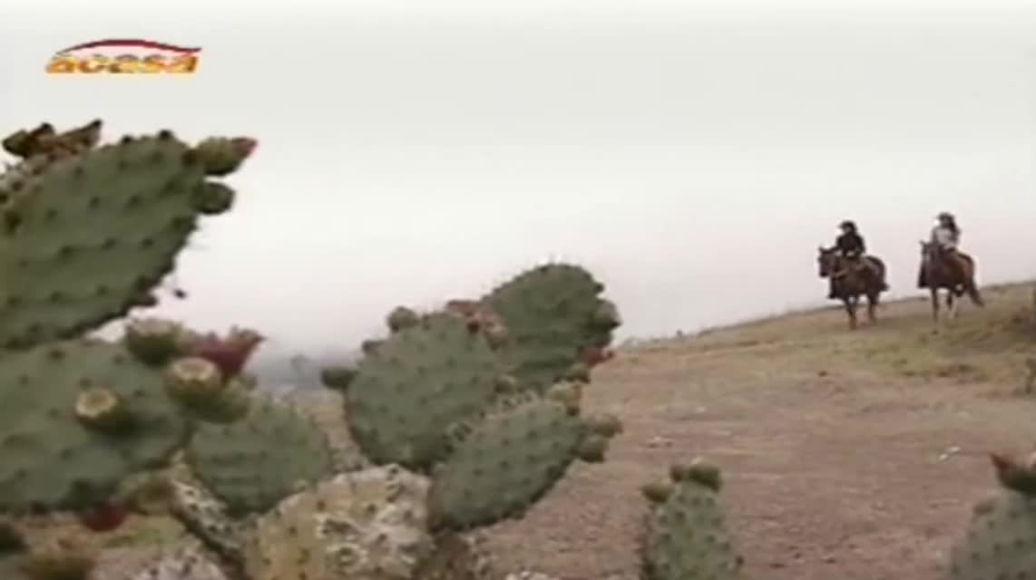 Pasión de gavilanes: Jurământul Episodul 19