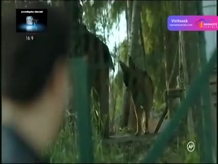 20 Dakika - 20 de minute TV Episodul 38