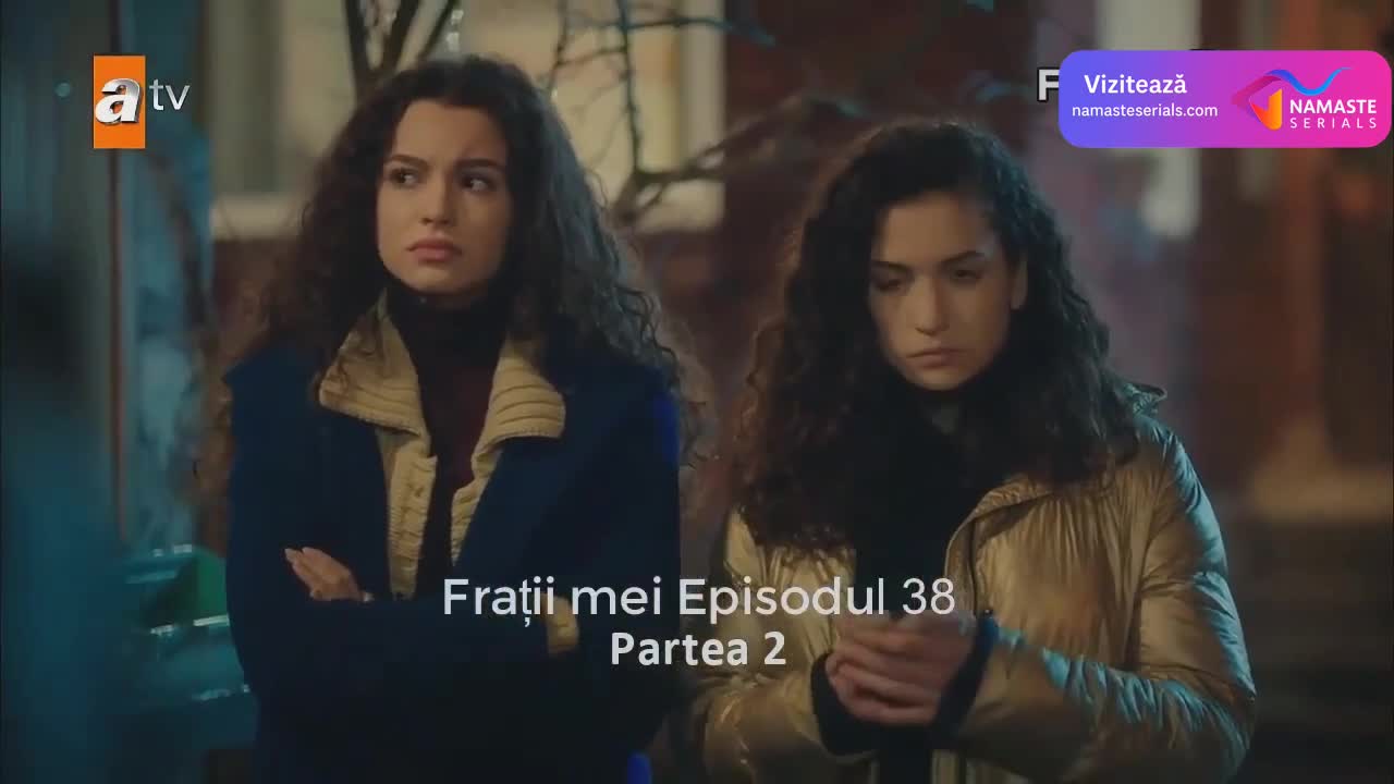 Kardeşlerim - Fratii mei Episodul 38