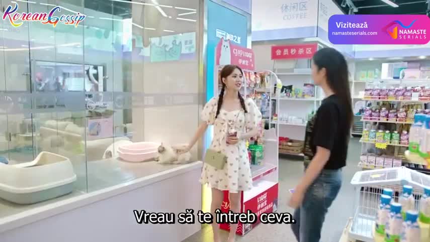 Cute Programmer Episodul 18