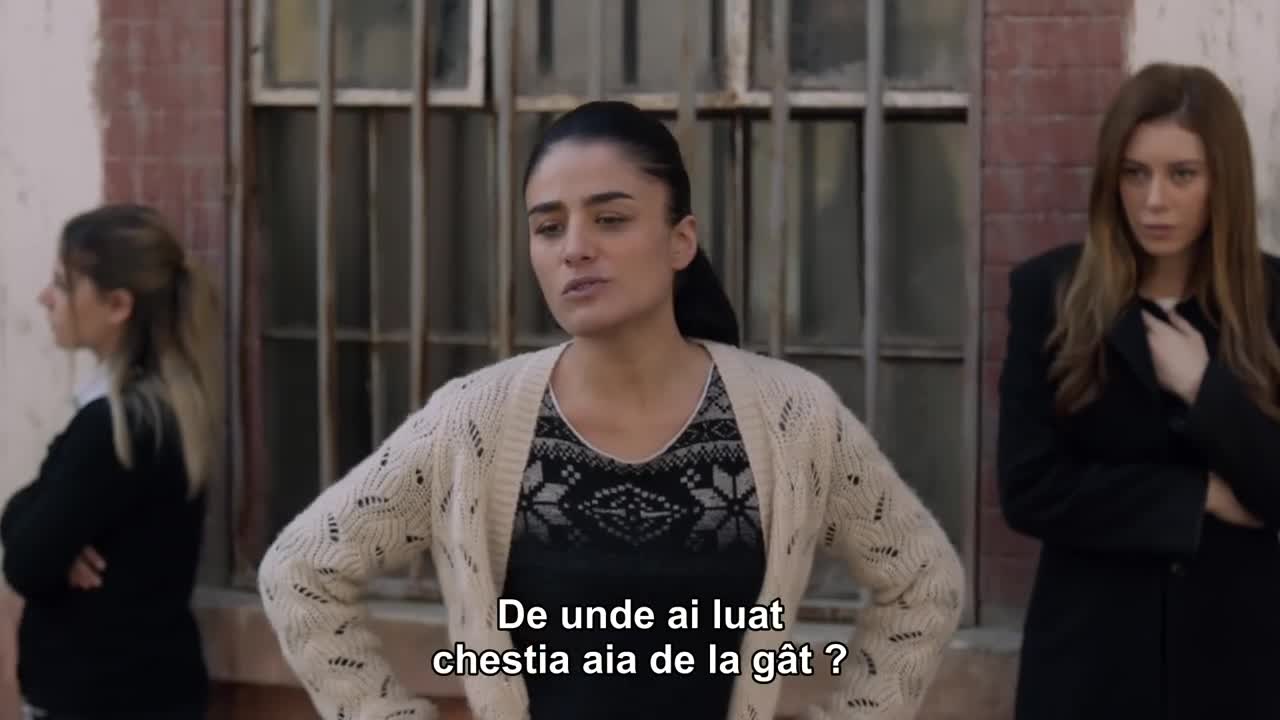 Analar ve Anneler - Mame si mamici Episodul 14
