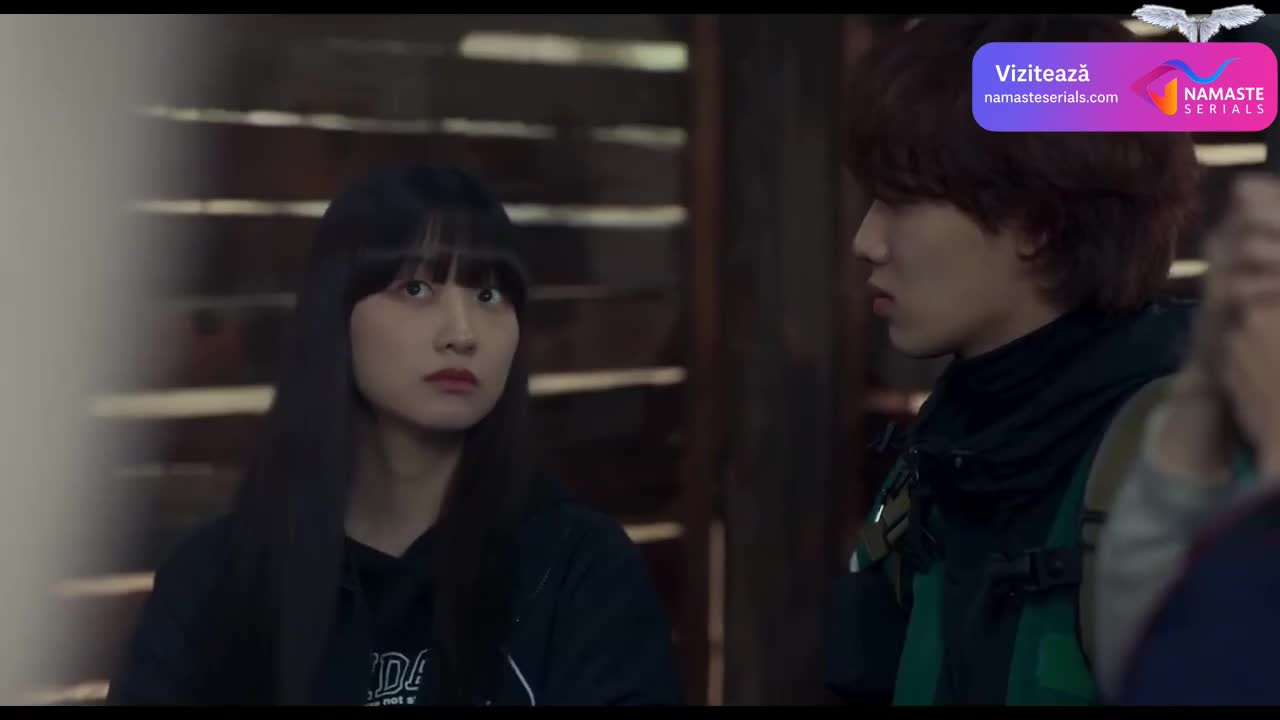 A Good Day to Be a Dog Episodul 13