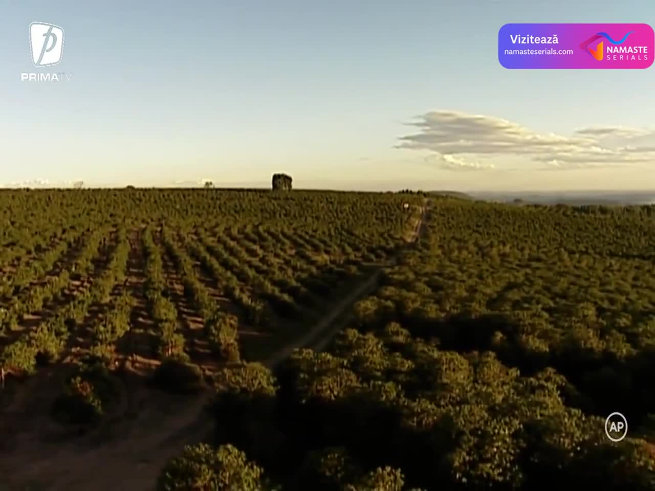 Terra nostra Episodul 34